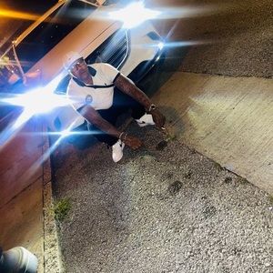 Meet your Posher, Shawn